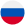 Russian Flag